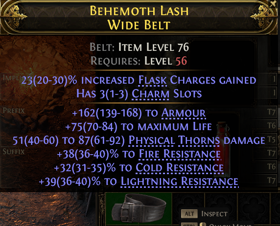 Behemoth Lash Wide Belt